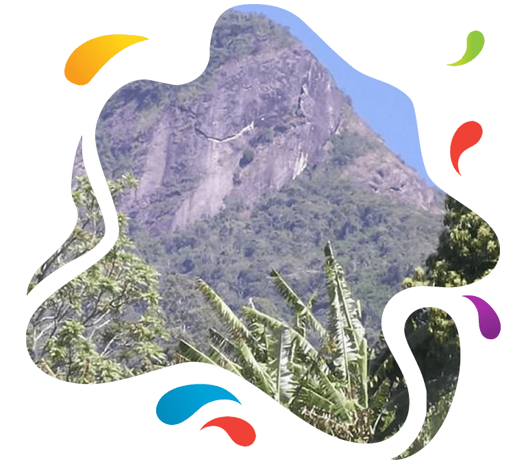Experiência Pedra Grande do Gomeral