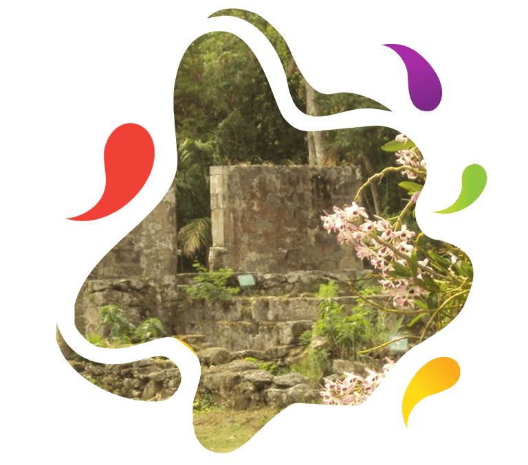 Experiência Vivência em Fazenda Histórica